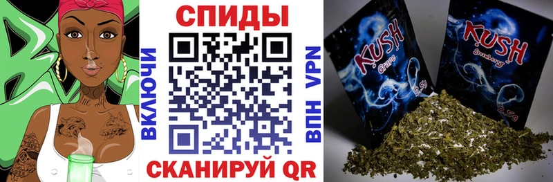 блэк спрут зеркало  закладки  Зея  БУТИРАТ Butirat 