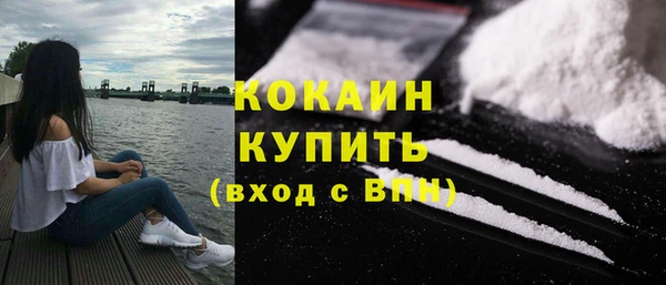 дурь Ельня