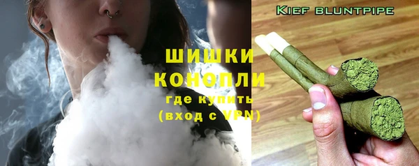 дурь Ельня
