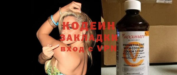 дурь Ельня