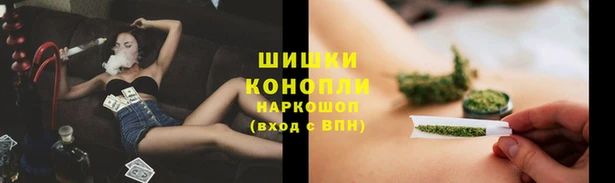 дурь Ельня
