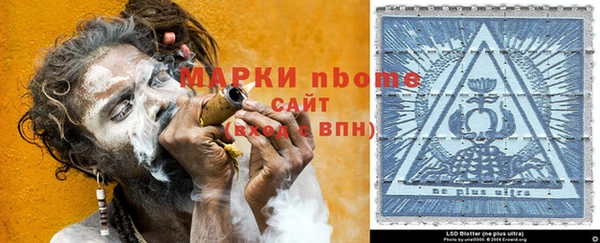 дурь Ельня