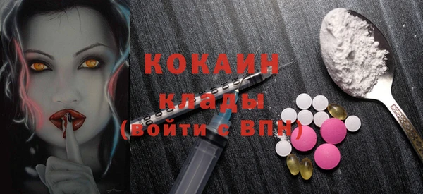 дурь Ельня