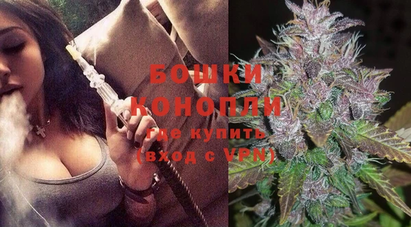 дурь Ельня